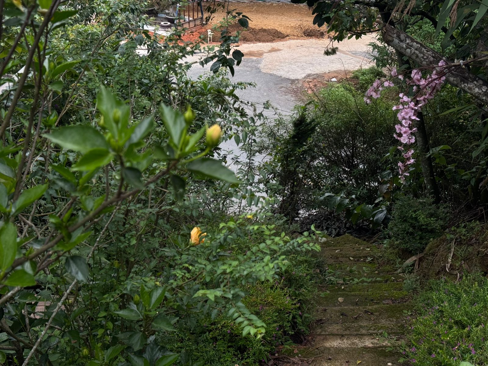 Lối đi trong vườn